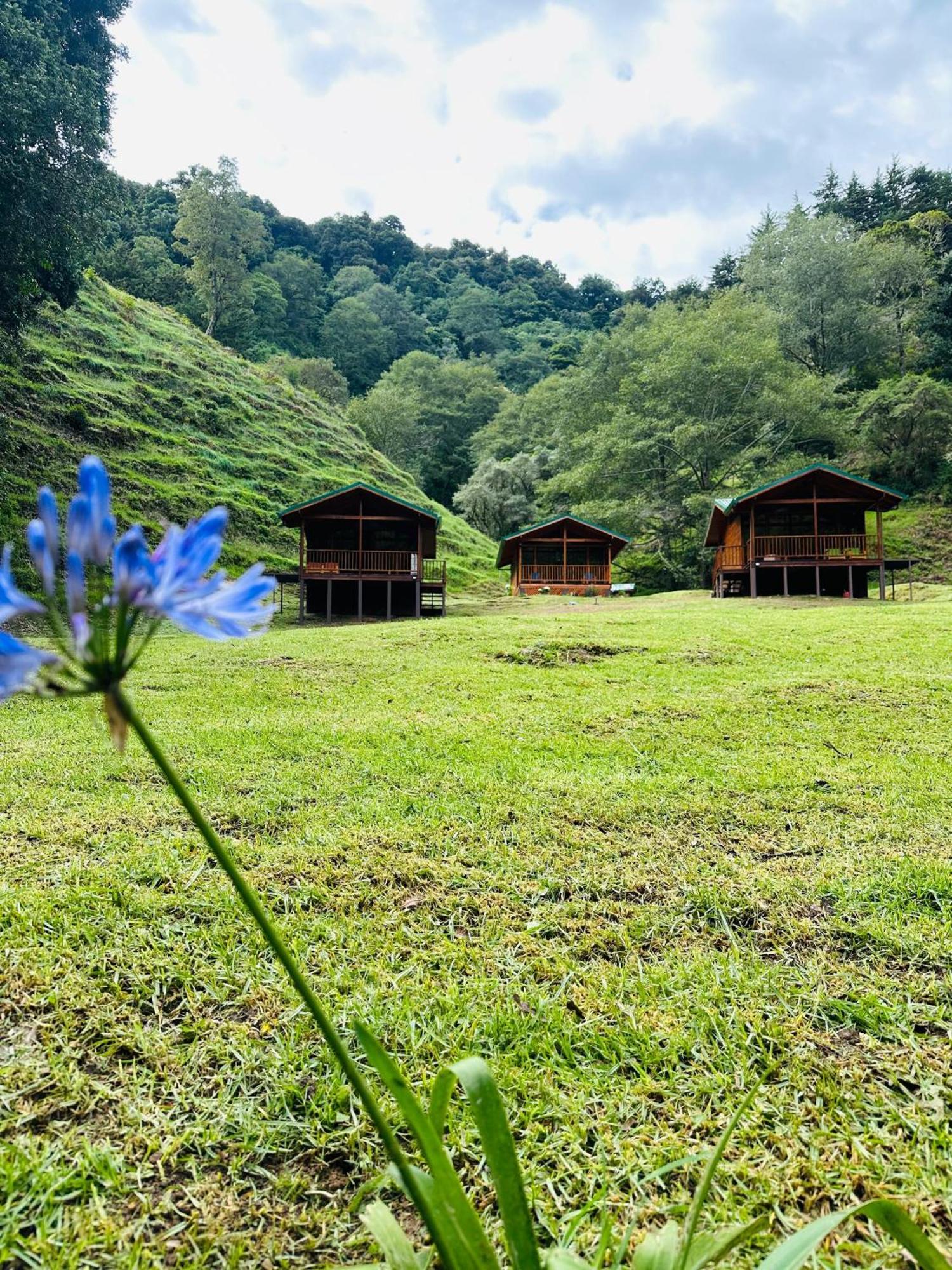 Entre Arboles Lodge San Gerardo de Dota Extérieur photo