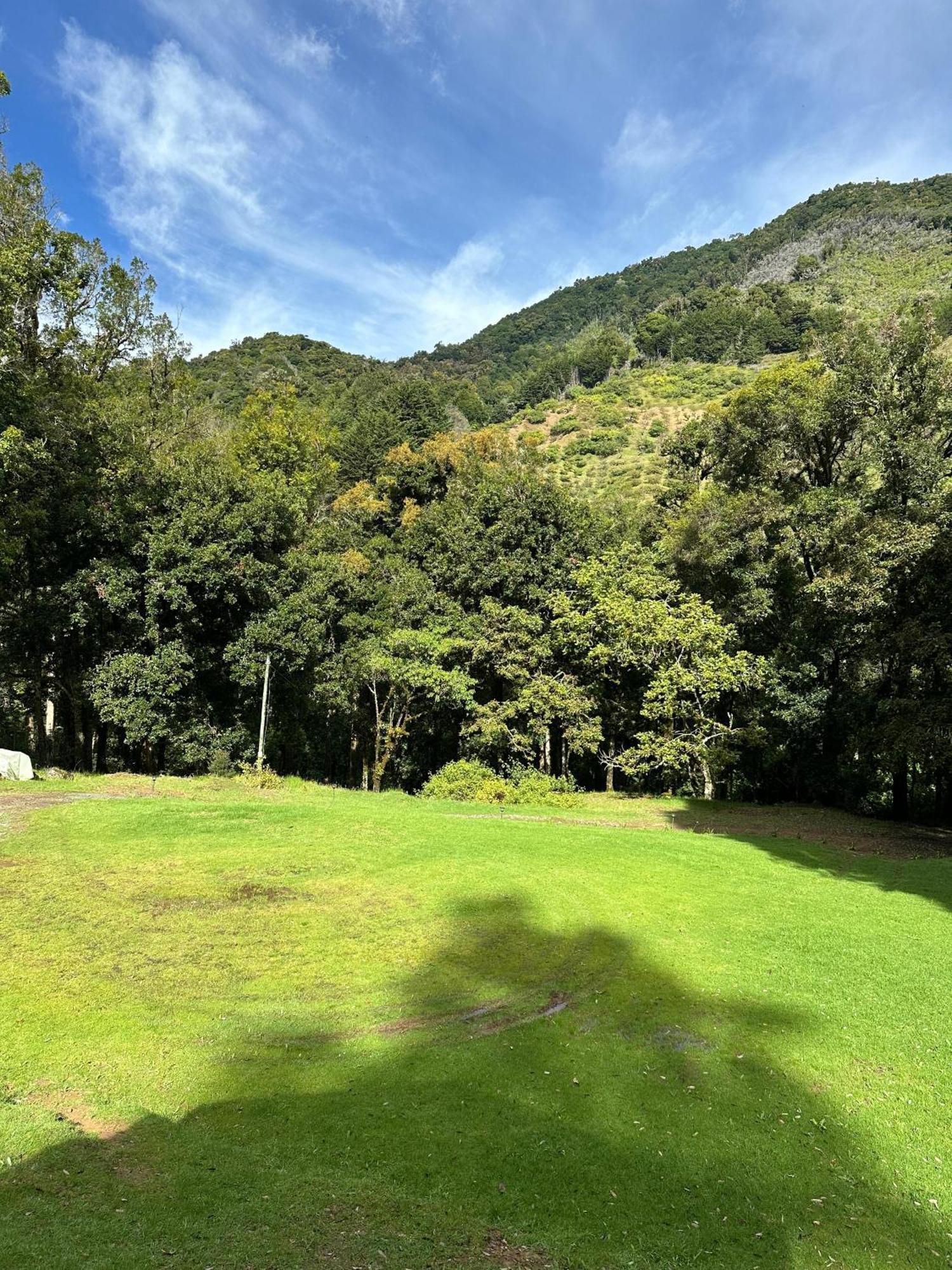 Entre Arboles Lodge San Gerardo de Dota Extérieur photo