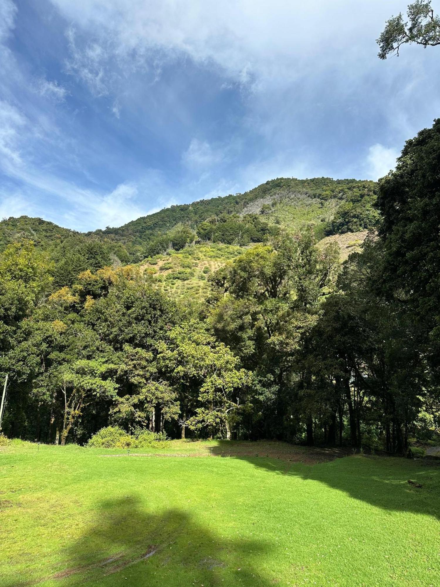 Entre Arboles Lodge San Gerardo de Dota Extérieur photo