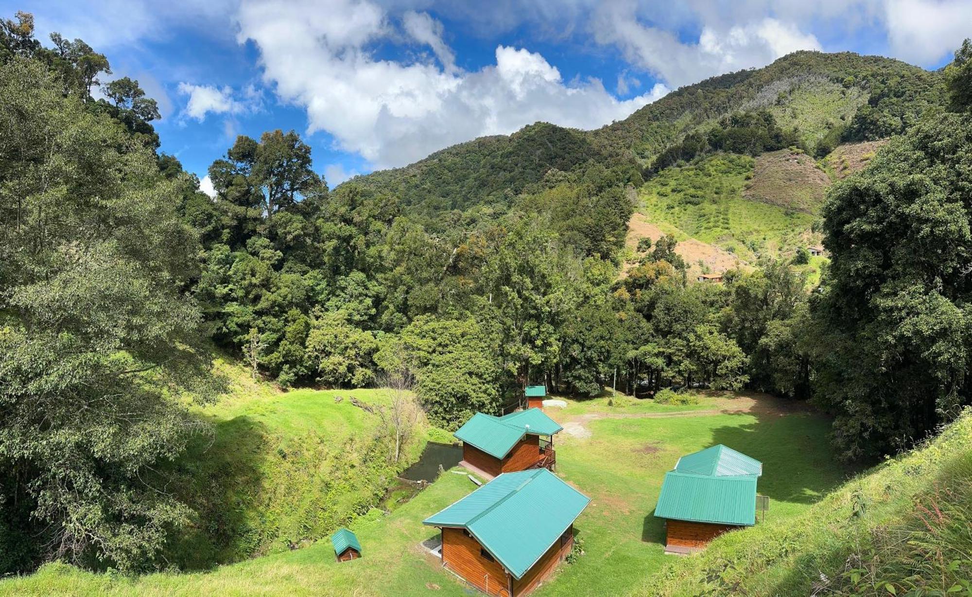 Entre Arboles Lodge San Gerardo de Dota Extérieur photo