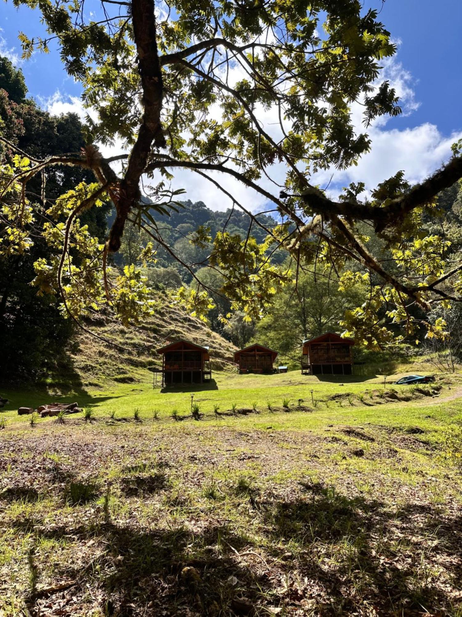 Entre Arboles Lodge San Gerardo de Dota Extérieur photo