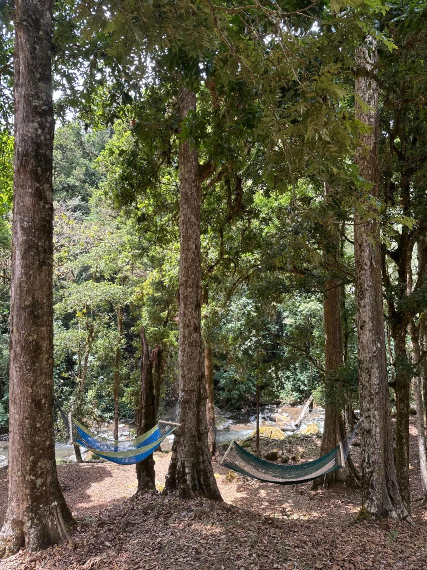 Entre Arboles Lodge San Gerardo de Dota Extérieur photo