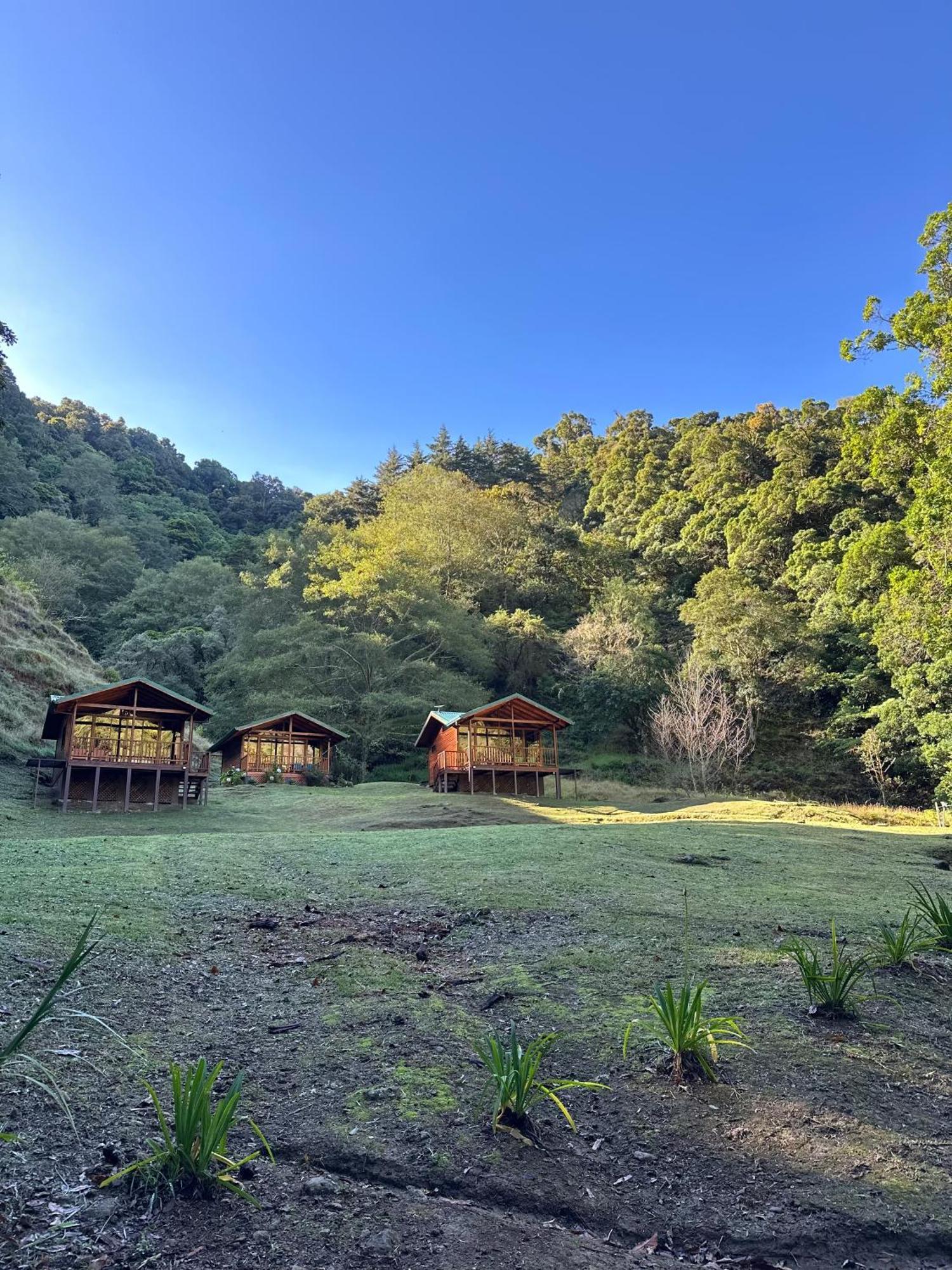 Entre Arboles Lodge San Gerardo de Dota Extérieur photo